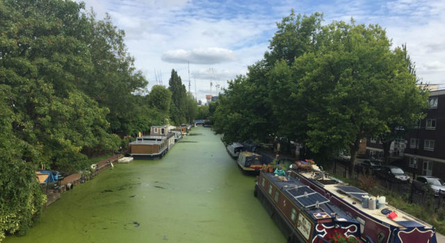 The Future is Afloat