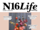 N16 Life Autumn 2017