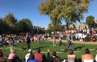 De Beauvoir flower, produce and dog show